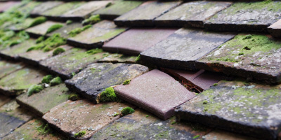Sandford roof repair costs